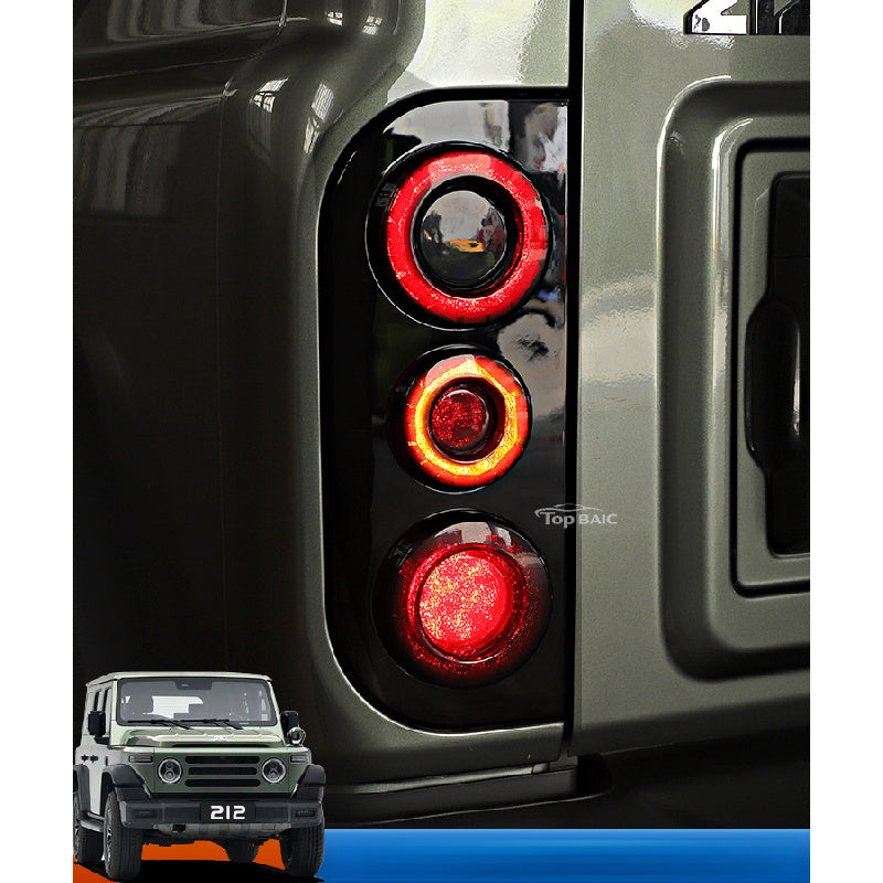 Smoked Tail Light Covers Black Warrior Style For BAW 212